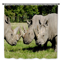 Group Of Rhino Bath Decor 61268872