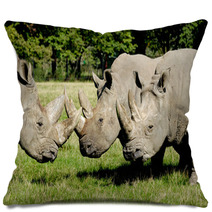 Group Of Rhino Pillows 61268872