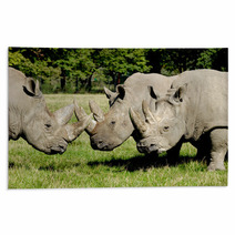 Group Of Rhino Rugs 61268872