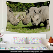 Group Of Rhino Wall Art 61268872