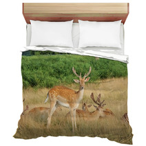 Group Of Stag Deer Bedding 54728627