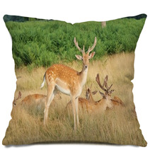 Group Of Stag Deer Pillows 54728627