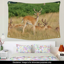 Group Of Stag Deer Wall Art 54728627