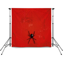 Grunge Halloween Spider Background Backdrops 69471575