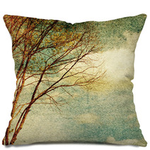 Grunge Vintage Nature Background Pillows 66947630