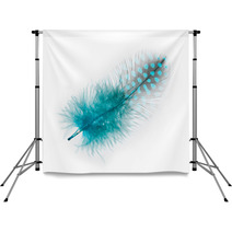 Guinea Fowl Feather  Turquoise  On A White Background Backdrops 52985078