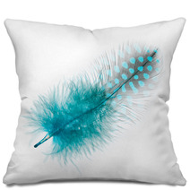 Guinea Fowl Feather  Turquoise  On A White Background Pillows 52985078