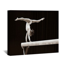 Gymnast Wall Art 2404701