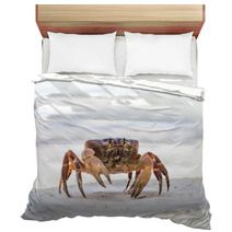 Hairy Leg Mountain Crab, Tachai Island, Thailand Bedding 79101006