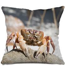 Hairy Leg Mountain Crab, Tachai Island, Thailand Pillows 81245638