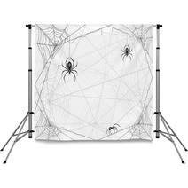 Halloween Background With Spiders And Cobwebs Backdrops 222881328