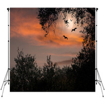 Halloween Sunset With Bats And Full Moon Backdrops 87494362
