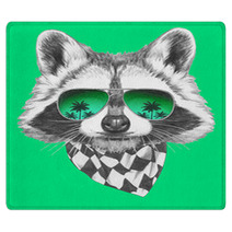 Hand Drawn Portrait Of Raccoon With Mirror Sunglasses And Scarf. Vector Isolated Elements. Rugs 89439956