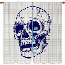 Hand Drawn Skull Sketch Vector On Notebook Page Window Curtains 116944692