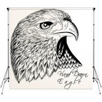 Hand Drawn Vector Eagle Close Up Backdrops 70447182
