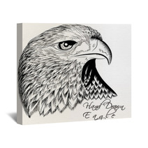 Hand Drawn Vector Eagle Close Up Wall Art 70447182