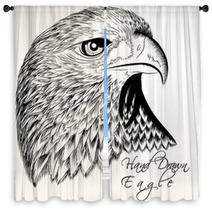 Hand Drawn Vector Eagle Close Up Window Curtains 70447182