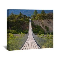 Hanging Bridge Over Seasonal River Wall Art 67010742
