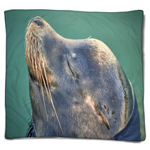Happy Seal Blankets 91265696