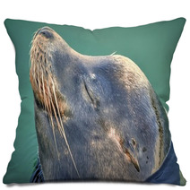 Happy Seal Pillows 91265696