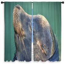 Happy Seal Window Curtains 91265696