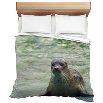 Harbor Seal (Phoca Vitulina) Bedding 74879142