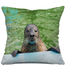 Harbor Seal (Phoca Vitulina) Pillows 74879211