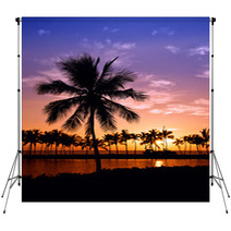 Hawaiian Palm Tree Sunset Backdrops 42683605