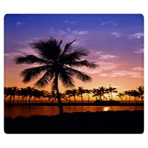 Hawaiian Palm Tree Sunset Rugs 42683605