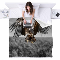 Hawk Bird Eagle Blankets 83931260