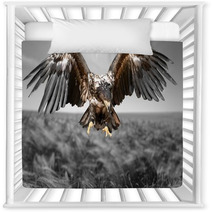 Hawk Bird Eagle Nursery Decor 83931260