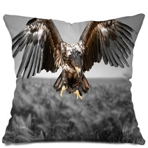 Hawk Bird Eagle Pillows 83931260