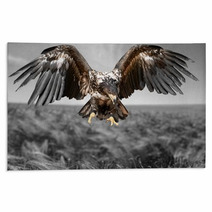 Hawk Bird Eagle Rugs 83931260