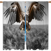 Hawk Bird Eagle Window Curtains 83931260