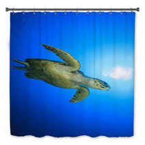 Hawksbill Sea Turtle Bath Decor 62687104