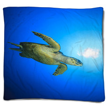 Hawksbill Sea Turtle Blankets 62687104