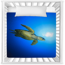 Hawksbill Sea Turtle Nursery Decor 62687104