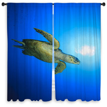 Hawksbill Sea Turtle Window Curtains 62687104