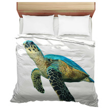 Hawksbill Sea Turtles Isolated On White Bedding 43006462