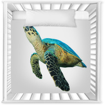 Hawksbill Sea Turtles Isolated On White Nursery Decor 43006462