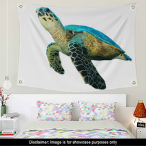 Hawksbill Sea Turtles Isolated On White Wall Art 43006462