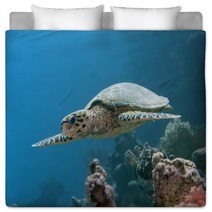 Hawksbill Turtle Bedding 57162832