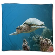 Hawksbill Turtle Blankets 57162832