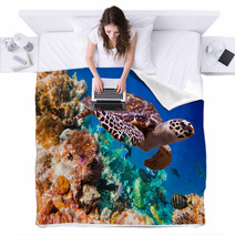 Hawksbill Turtle - Eretmochelys Imbricata Blankets 67120595