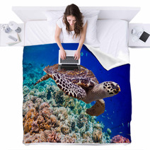 Hawksbill Turtle - Eretmochelys Imbricata Blankets 68905745