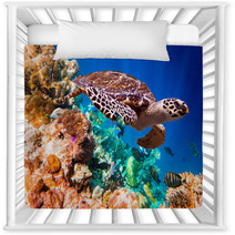 Hawksbill Turtle - Eretmochelys Imbricata Nursery Decor 67120595