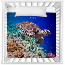 Hawksbill Turtle - Eretmochelys Imbricata Nursery Decor 68905745