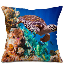 Hawksbill Turtle - Eretmochelys Imbricata Pillows 67120595