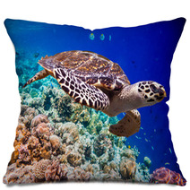 Hawksbill Turtle - Eretmochelys Imbricata Pillows 68905745