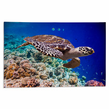 Hawksbill Turtle - Eretmochelys Imbricata Rugs 68905745